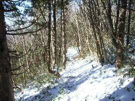http://entotsuyama.hobby-web.net/img5026.jpg