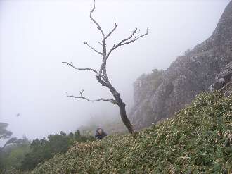 http://entotsuyama.hobby-web.net/ishikitajun53.jpg