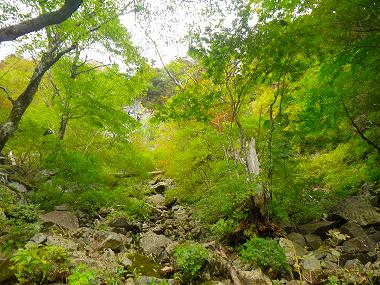 http://entotsuyama.hobby-web.net/IMGP1912.jpg