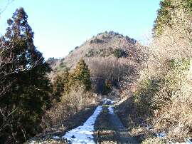 http://entotsuyama.hobby-web.net/img5027.jpg