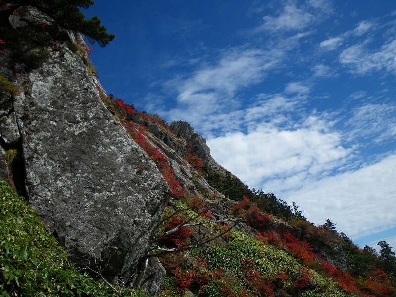 http://entotsuyama.hobby-web.net/kitah20n10g46.jpg