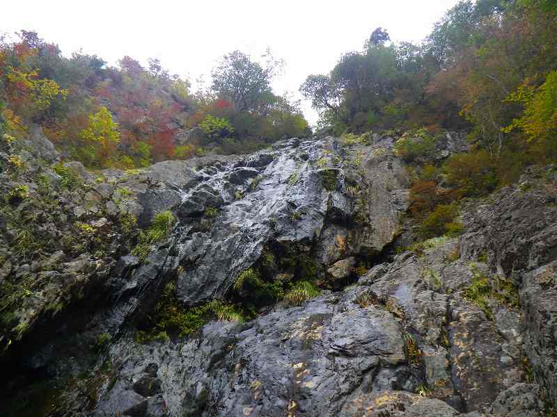 http://entotsuyama.hobby-web.net/IMGP1913.jpg