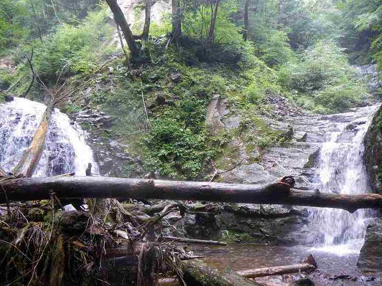 http://entotsuyama.hobby-web.net/banshodani66.jpg