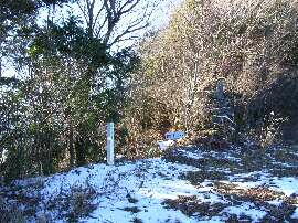 http://entotsuyama.hobby-web.net/img5028.jpg