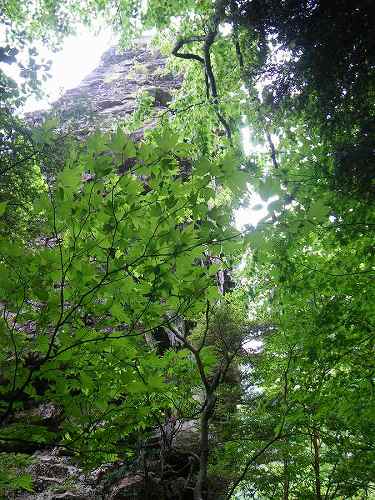 http://entotsuyama.hobby-web.net/nishinokawa36oji56.jpg