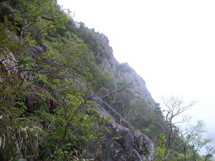 http://entotsuyama.hobby-web.net/ishikitajun55h.jpg
