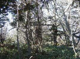 http://entotsuyama.hobby-web.net/53one.jpg