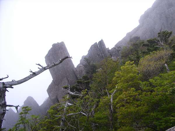 http://entotsuyama.hobby-web.net/ishikitajun57.jpg