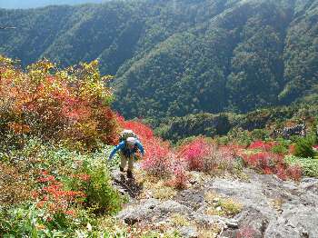 http://entotsuyama.hobby-web.net/kitah20n10g48.jpg