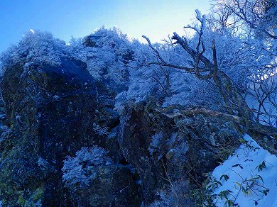 http://entotsuyama.hobby-web.net/toryo-58.jpg