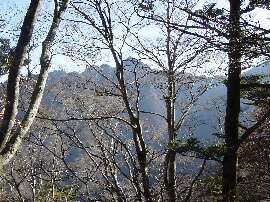http://entotsuyama.hobby-web.net/55nishikuromori.jpg