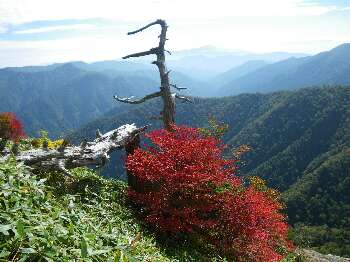 http://entotsuyama.hobby-web.net/kitah20n10g49.jpg