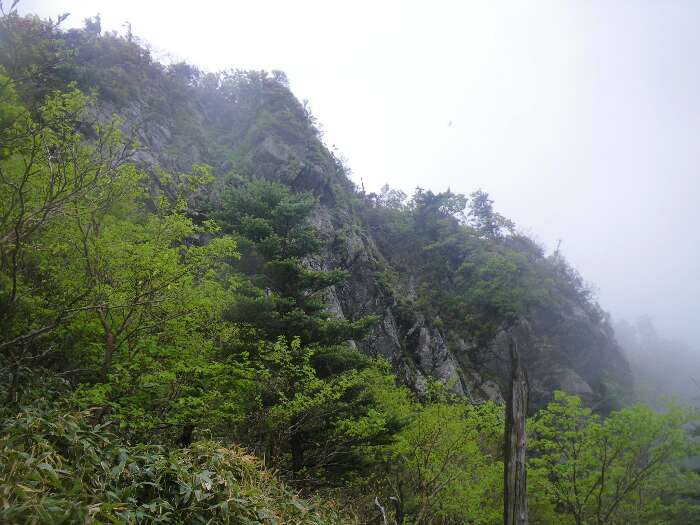 http://entotsuyama.hobby-web.net/suishou68.jpg