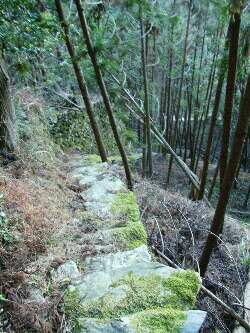 http://entotsuyama.hobby-web.net/img5031.jpg