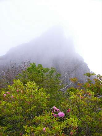 http://entotsuyama.hobby-web.net/ishikitajun59.jpg