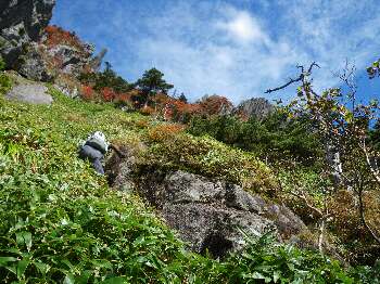 http://entotsuyama.hobby-web.net/kitah20n10g50.jpg