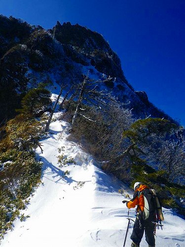 http://entotsuyama.hobby-web.net/toryo-61.jpg