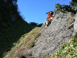 http://entotsuyama.hobby-web.net/76kaninoyokobai.jpg