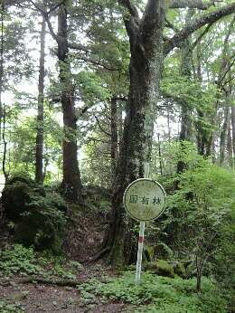 http://entotsuyama.hobby-web.net/img5150.jpg