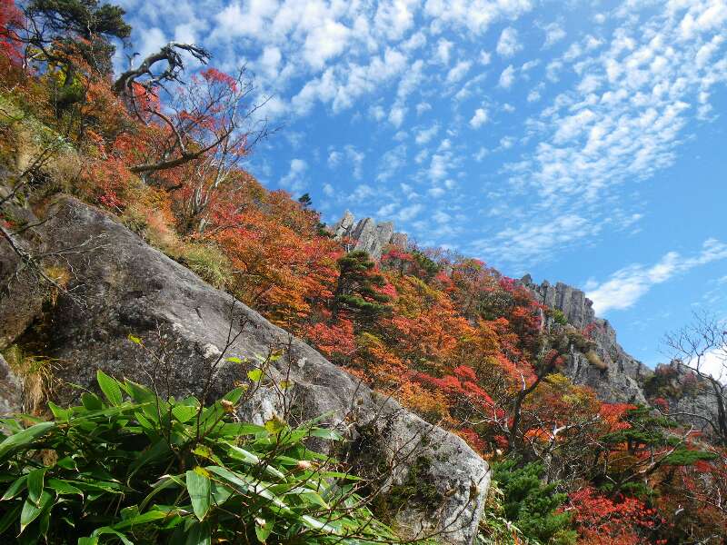 http://entotsuyama.hobby-web.net/kitah20n10g54.jpg