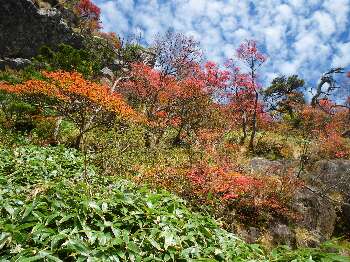 http://entotsuyama.hobby-web.net/kitah20n10g55.jpg