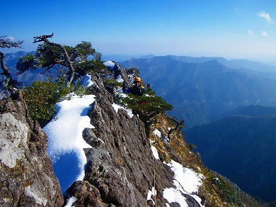http://entotsuyama.hobby-web.net/toryo-64add.jpg