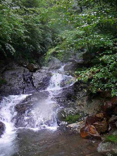 http://entotsuyama.hobby-web.net/banshodani791.jpg