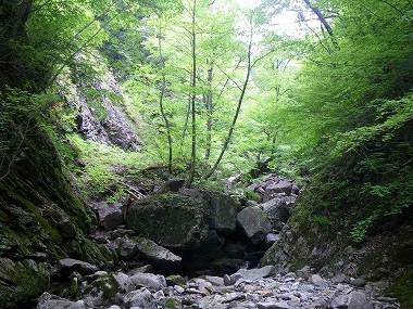http://entotsuyama.hobby-web.net/nishinokawa36oji66.jpg