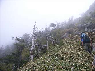 http://entotsuyama.hobby-web.net/ishikitajun64.jpg