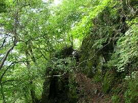 http://entotsuyama.hobby-web.net/img5153.jpg