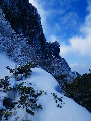 http://entotsuyama.hobby-web.net/toryo-66.jpg