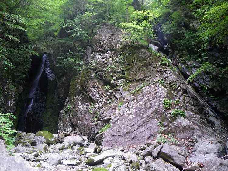 http://entotsuyama.hobby-web.net/nishinokawa36oji63big.jpg
