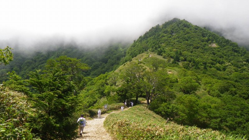 http://entotsuyama.hobby-web.net/IMGP7623.jpg