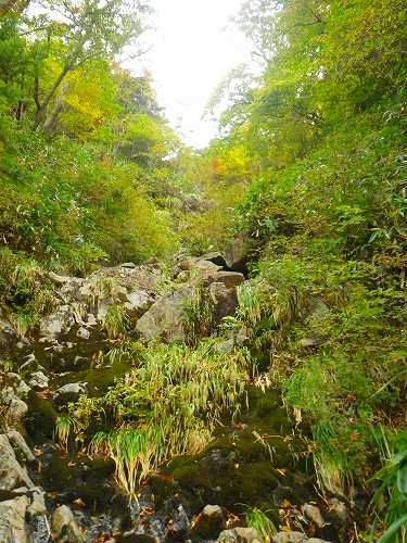 http://entotsuyama.hobby-web.net/IMGP1933.jpg