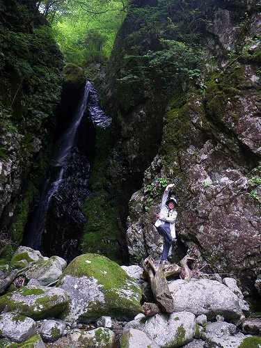 http://entotsuyama.hobby-web.net/nishinokawa36oji65.jpg