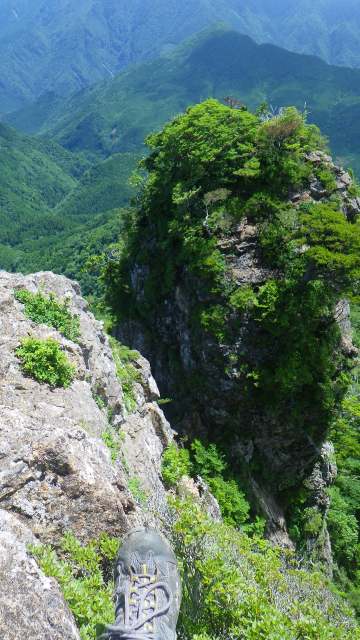 http://entotsuyama.hobby-web.net/IMGP7629.jpg