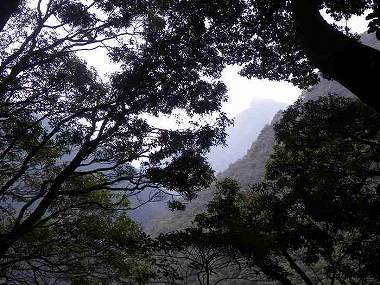 http://entotsuyama.hobby-web.net/ohjisha1st83.jpg