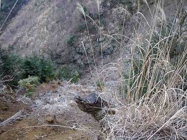 http://entotsuyama.hobby-web.net/itazuriadd1.jpg