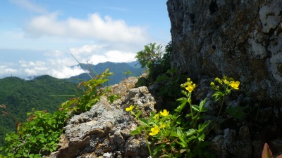 http://entotsuyama.hobby-web.net/IMGP7630.jpg