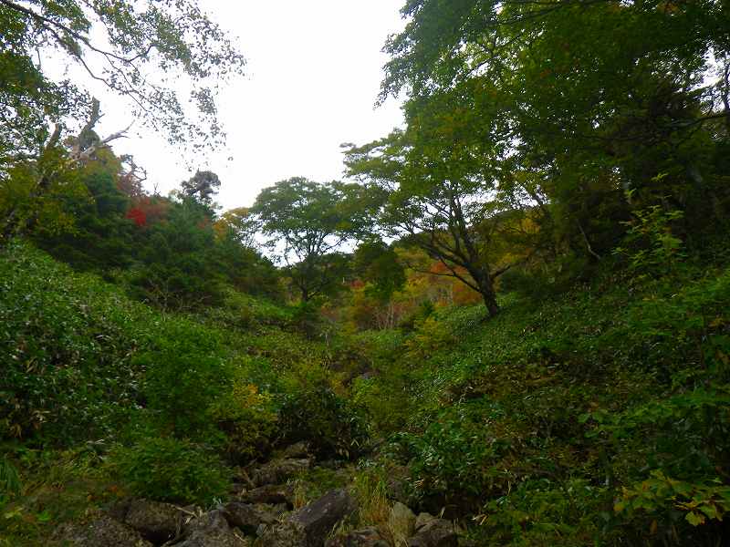 http://entotsuyama.hobby-web.net/IMGP1938.jpg