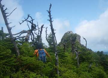 http://entotsuyama.hobby-web.net/suishou83.jpg