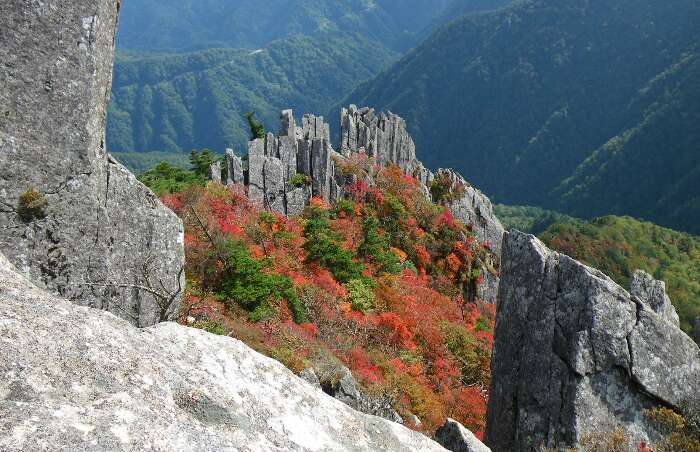 http://entotsuyama.hobby-web.net/kitah20n10g63.jpg