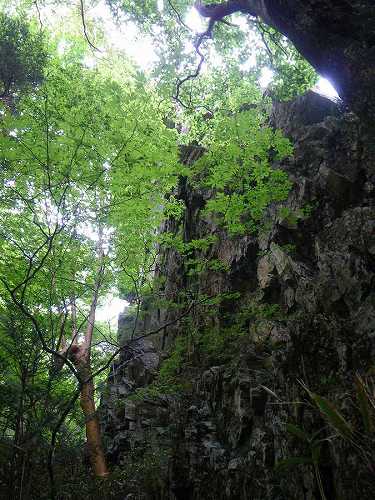 http://entotsuyama.hobby-web.net/nishinokawa36oji70.jpg