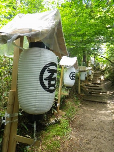 http://entotsuyama.hobby-web.net/IMGP7642.jpg