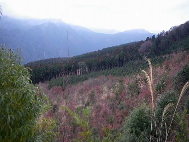 http://entotsuyama.hobby-web.net/itazuri86.jpg