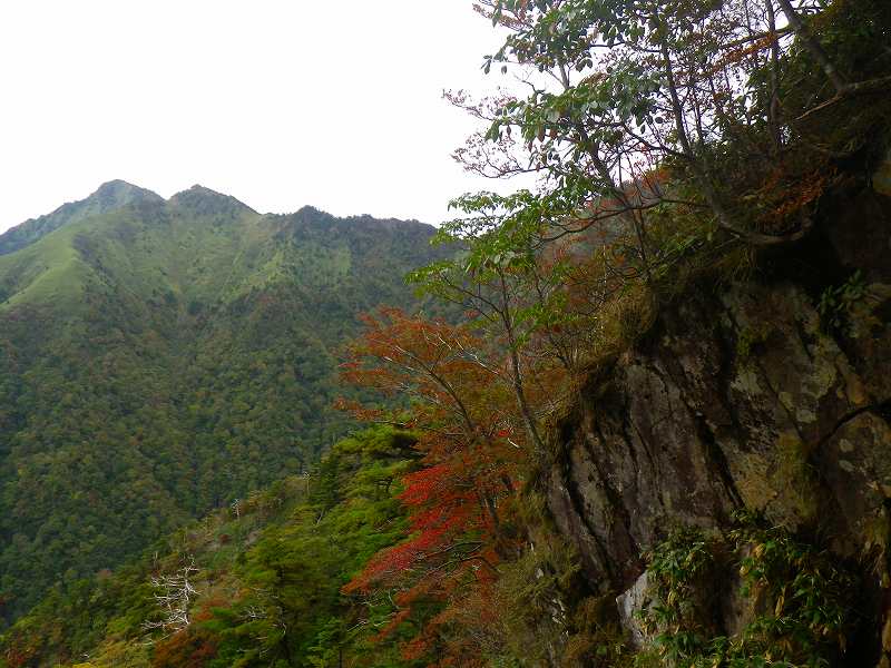 http://entotsuyama.hobby-web.net/IMGP1947.jpg