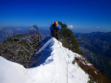 http://entotsuyama.hobby-web.net/toryo-75.jpg