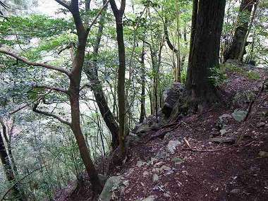 http://entotsuyama.hobby-web.net/ohjisha1st90.jpg