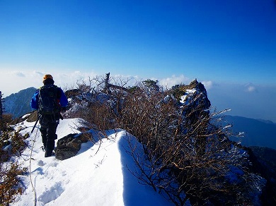 http://entotsuyama.hobby-web.net/toryo-76.jpg