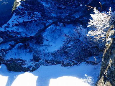 http://entotsuyama.hobby-web.net/toryo-77.jpg
